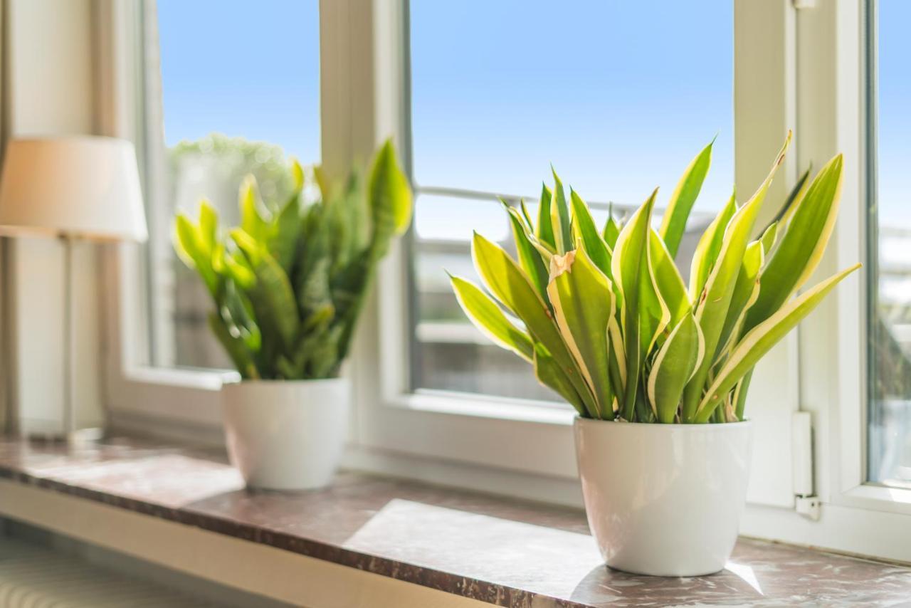 Fuths Penthouse 55 Apartment Antwerp Luaran gambar